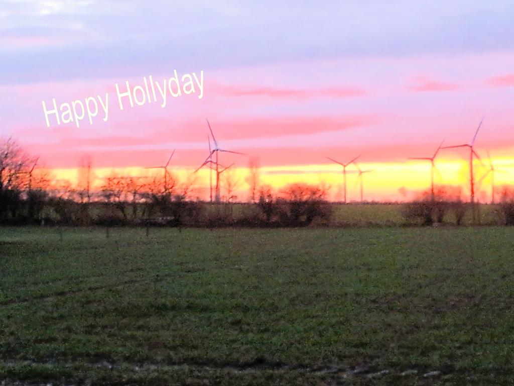 Ferienanlage Wildt Petersdorf auf Fehmarn Buitenkant foto